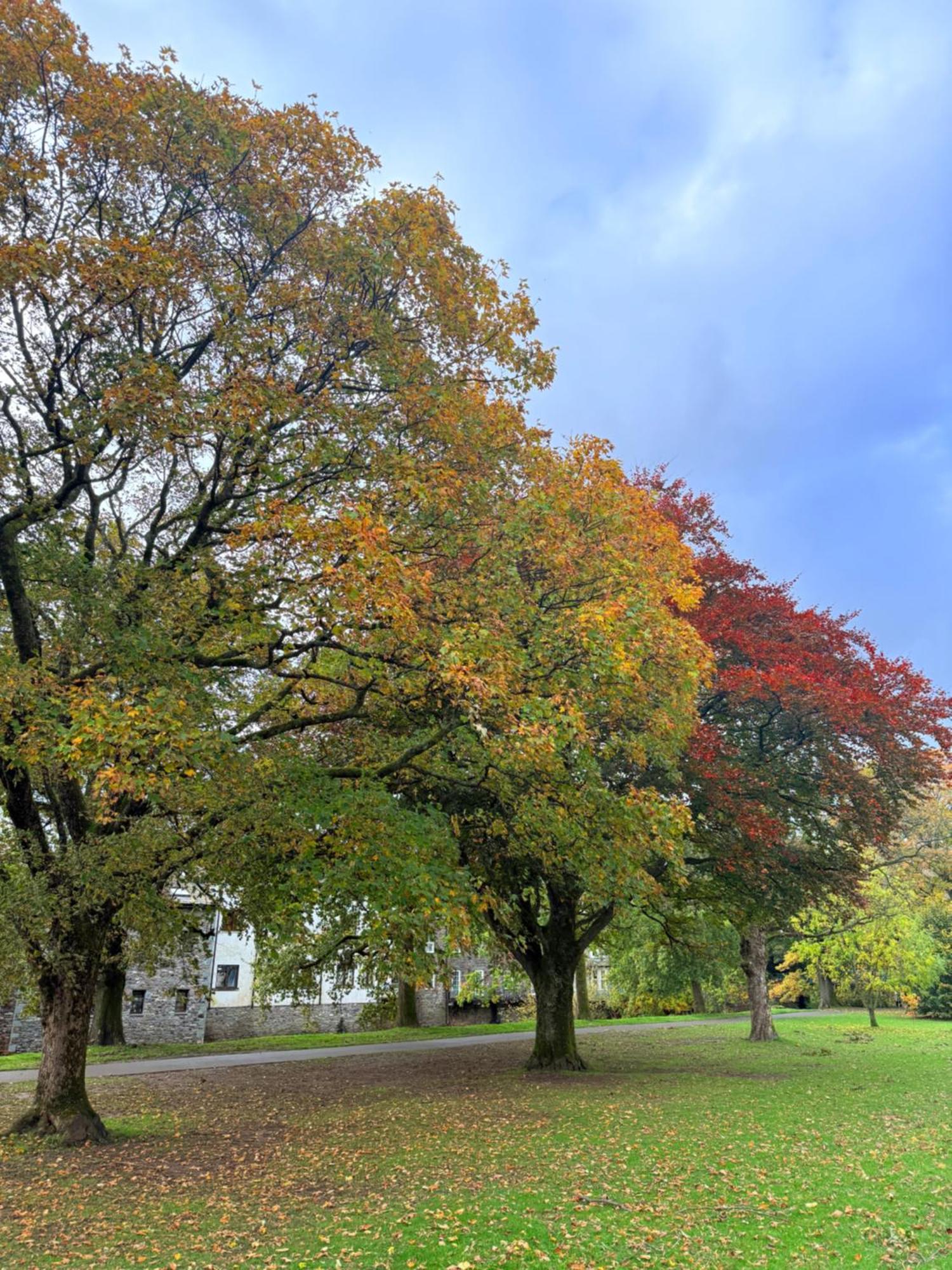 Shemara Rooms Keswick  Bagian luar foto